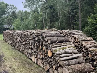 20 rm brænde (løv) inkl. levering 
