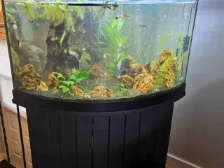 Akvarium