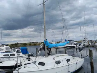 Sejlbåd 