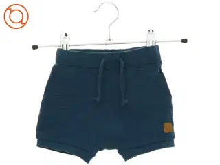 Shorts (str. 56 cm)