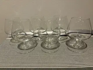 Cognac glas 6 stk