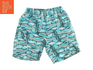 Badebukser / badeshorts med hajmønster fra Color Kids (str. 122)