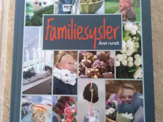 Bog: Familiesysler Året rundt