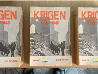 Krigen 1939-1945, Erik Møller