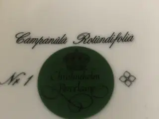 Christina Holm Suppeterrinen