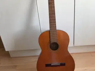 Guitar med stativ