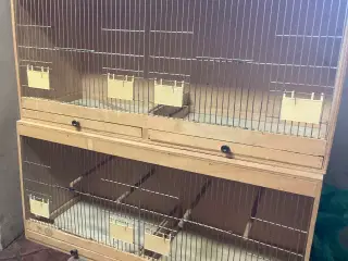 Fuglebur i træ