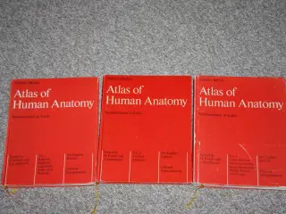 Atlas of Human Anatomy af H.Ferner