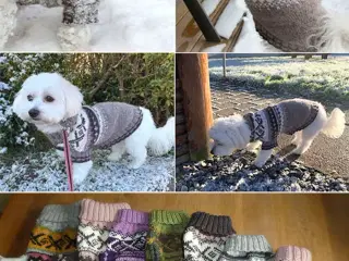 Nye håndstrikkede hundesweatre