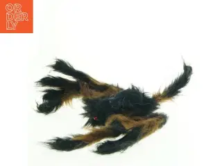 Bamseedderkop (str. 27 x 13 cm)