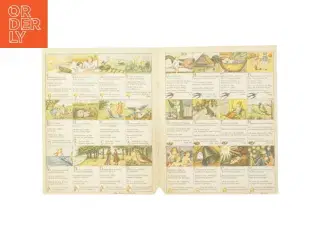 Samlekort med fugleillustrationer (str. 30 x 24,5 cm)