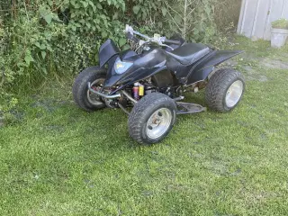 Atv 125