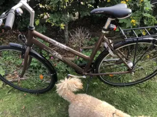 Cykel med kirv