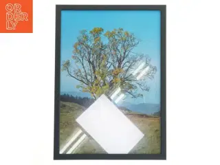 Træbillede i ramme fra Posterland (str. 32x44 cm)