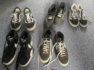 Nike Blazers, Vans og basket sko