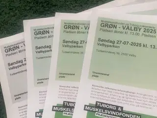 Grøn koncert valby 4 billetter
