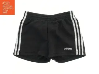 Shorts fra Adidas (str. 158)