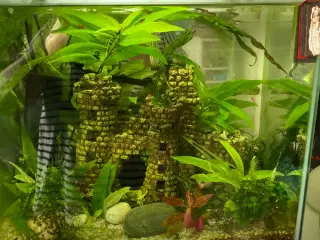 Akvarie