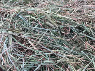 Wraphø 2 slæt rundballer 