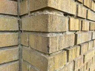 Gule kostede - børstede mursten