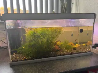 Akvarium 