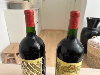 2 stk Bordeaux Vine i megaflasker