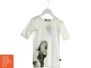 T-Shirt (NMM) fra Molo (str. 116 cm)
