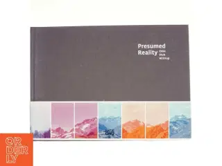Presumed reality : Ebbe Stub Wittrup af Gitte Broeng (Bog)