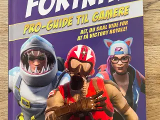 Fortnite Pro-Guide til gamere