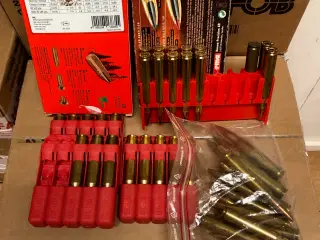 30-06 ammunition 