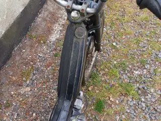 Puch maxi