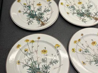 Villeroy & Boch - Botanica 6 stk middagstallerkene