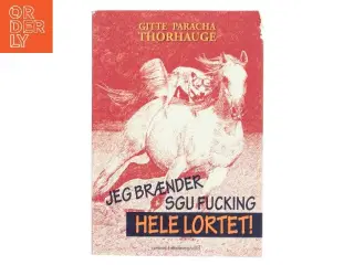 Jeg brænder sgu fucking hele lortet! af Gitte Paracha Thorhauge (Bog)