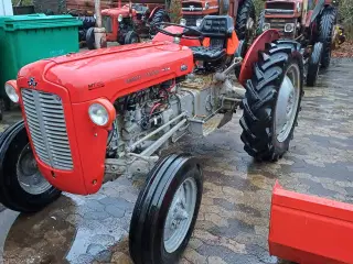 Traktor massey ferguson