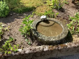 Fuglebad granit
