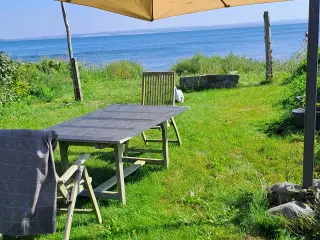 Parasol bortgives