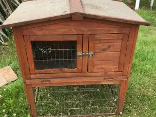 Kaninbur 