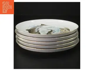 Spisetallerken med fiskemotiv fra Colditz (str. 5 styk, ø 17 cm)