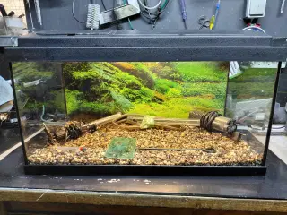 Akvarier 54L 