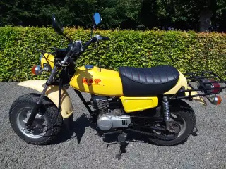 Hondacy50 