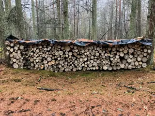 4 rm tørt birk i 1 m stykker