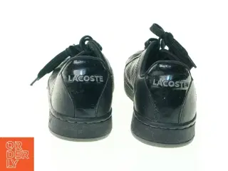 Sko fra Lacoste (str. 36)