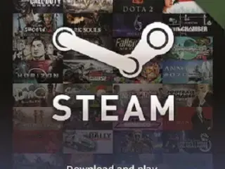 Steam Gift Card 100 USD - Steam Key