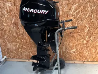 Mercury 25 EFI 