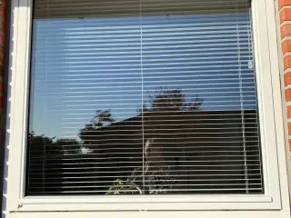 Termovindue