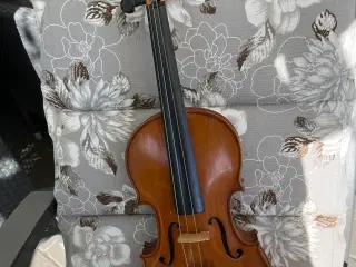 Violin