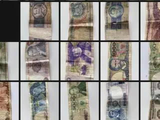 17 Udenlandske pengesedler