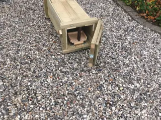 Mårhund hvalpe fælde