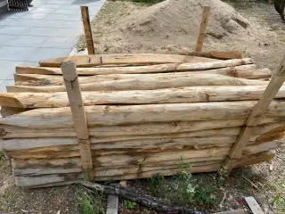 Robiniepæle 