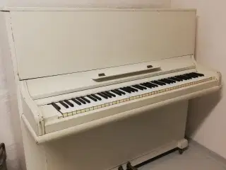 klaver 